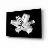Lilies Glass Wall Art.